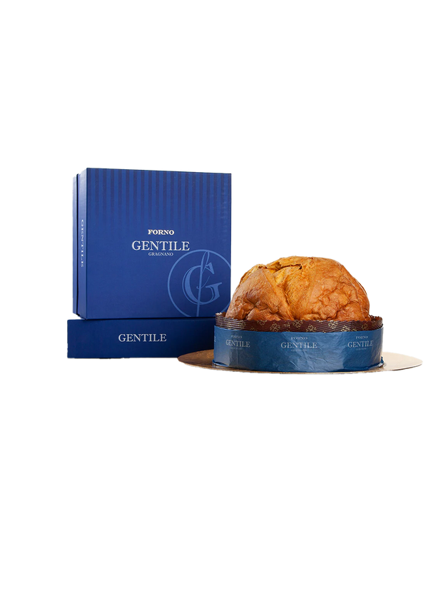 A traditional Italian panettone cake with candied fruits visible on the surface, presented next to its blue packaging box with the brand 'Gentile' written on it.