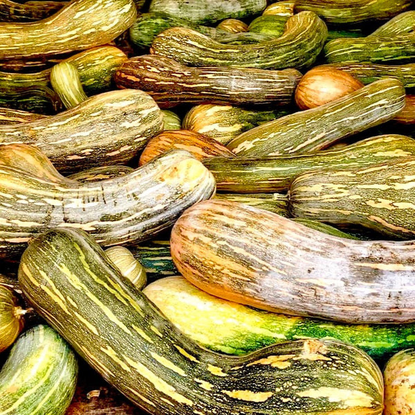 Pumpkin and Black Truffle Soup - 10.93 oz