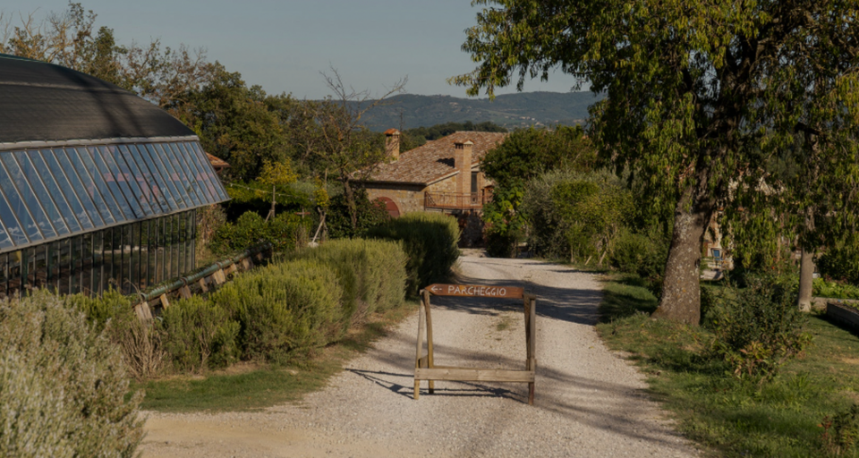 Ditalia Fine Italian Imports