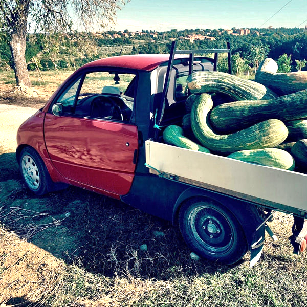 Pumpkin and Black Truffle Soup - 10.93 oz