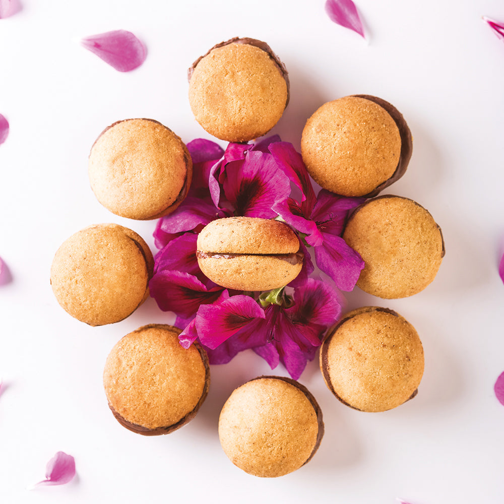 Brusa Baci di Dama Cookies from Piedmont | Ditalia Italian Imports